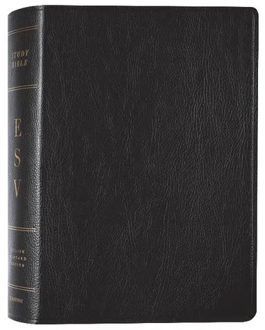 B ESV STUDY BIBLE BLACK (BLACK LETTER EDITION)