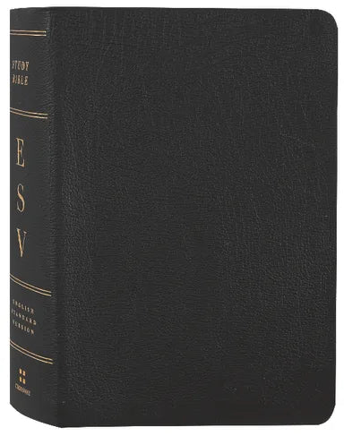 B ESV STUDY BIBLE PERSONAL SIZE BLACK (BLACK LETTER EDITION)