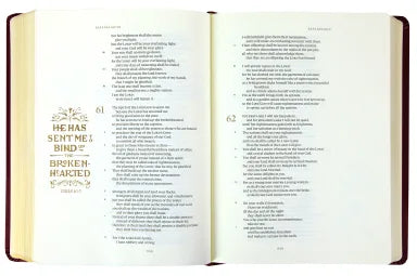 B ESV ILLUMINATED BIBLE ART JOURNALING EDITION BURGUNDY (BLACK LETTER EDITION)