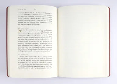 B ESV ILLUMINATED SCRIPTURE JOURNAL GENESIS (BLACK LETTER EDITION)