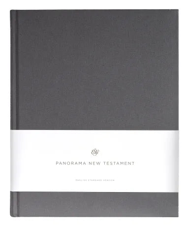 B ESV PANORAMA NEW TESTAMENT GRAY