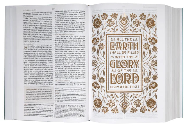 B ESV WOMEN'S STUDY BIBLE DEEP BROWN (BLACK LETTER EDITION)