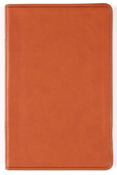 B ESV LARGE PRINT VALUE THINLINE BIBLE CAMEL