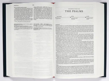 B ESV CONCISE STUDY BIBLE (BLACK LETTER EDITION)