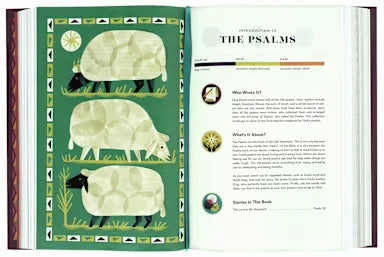 B ESV THE BIGGEST STORY HOLY BIBLE FOR KIDS