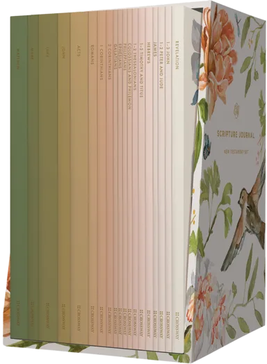 B ESV SCRIPTURE JOURNAL NEW TESTAMENT (SET OF 19) ARTWORK BY RUTH CHOU SIMONS (BLACK LETTER EDITION)