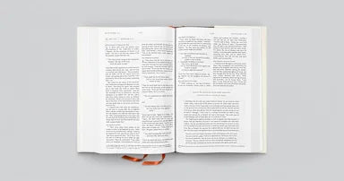 B ESV EVERYDAY GOSPEL BIBLE: CONNECTING SCRIPTURE TO ALL OF LIFE