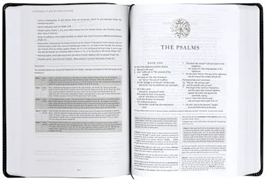 B ESV MEN'S STUDY BIBLE  CHARCOAL  SHIELD DESIGN