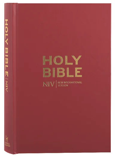 B NIV POPULAR BURGUNDY BIBLE