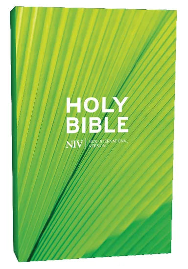 B NIV SCHOOLS BIBLE