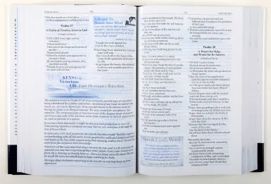 AMPLIFIED BATTLEFIELD OF THE MIND BIBLE