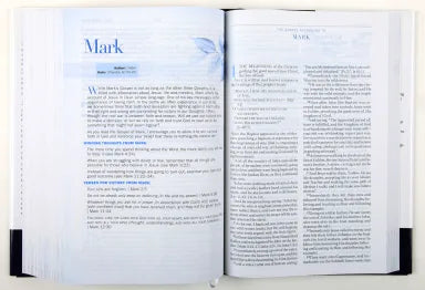 AMPLIFIED BATTLEFIELD OF THE MIND BIBLE