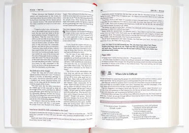 B NIV BIBLE IN ONE YEAR WITH DAILY COMMENTARY