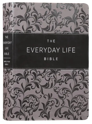 B AMPLIFIED THE EVERYDAY LIFE BIBLE GRAY