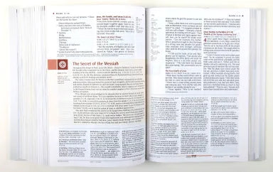 B NLT ILLUSTRATED STUDY BIBLE (BLACK LETTER EDITION)