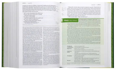 B NLT LIFE APPLICATION STUDY BIBLE 3RD EDITION LARGE PRINT (RED LETTER EDITION)