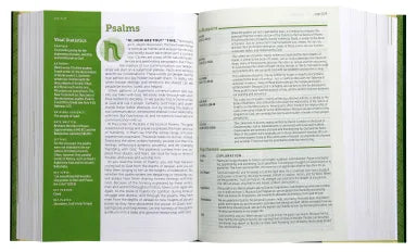B NLT LIFE APPLICATION STUDY BIBLE 3RD EDITION LARGE PRINT (RED LETTER EDITION)
