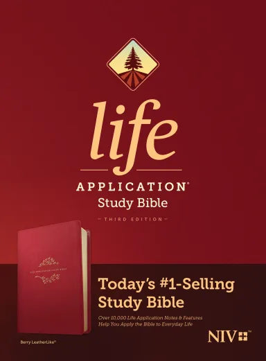 B NIV LIFE APPLICATION STUDY BIBLE 3RD EDITION BERRY (BLACK LETTER EDITION)