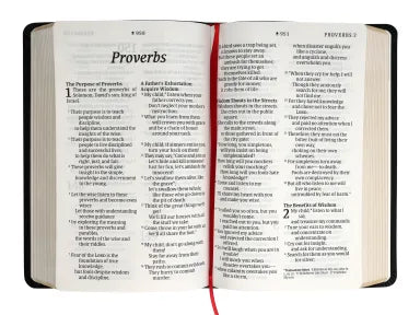 B NLT PERSONAL SIZE GIANT PRINT BIBLE FILAMENT ENABLED EDITION BLACK (RED LETTER EDITION)