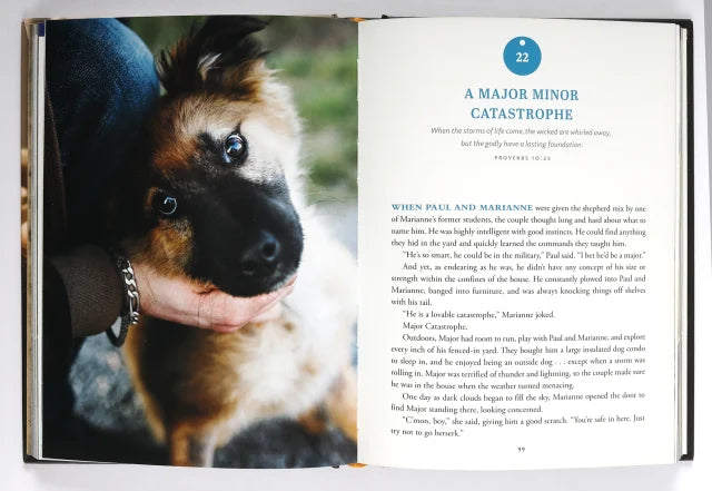 PAWVERBS FOR A DOG LOVER'S HEART: INSPIRING STORIES OF FRIENDSHIP  FUN  AND FAITHFULNESS