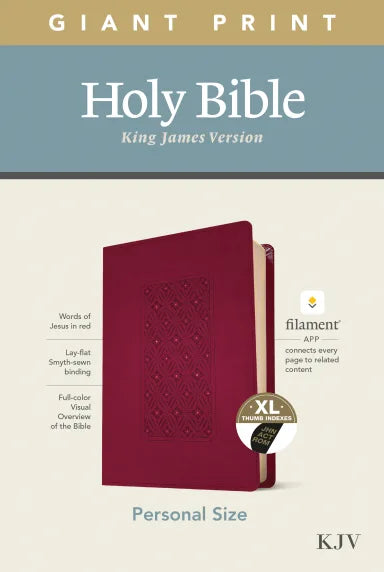 KJV PERSONAL SIZE GIANT PRINT BIBLE FILAMENT ENABLED EDITION INDEXED DIAMOND FRAME CRANBERRY (RED LETTER EDITION)