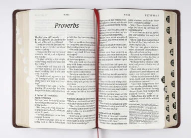 KJV PERSONAL SIZE GIANT PRINT BIBLE FILAMENT ENABLED EDITION INDEXED BURGUNDY (RED LETTER EDITION)