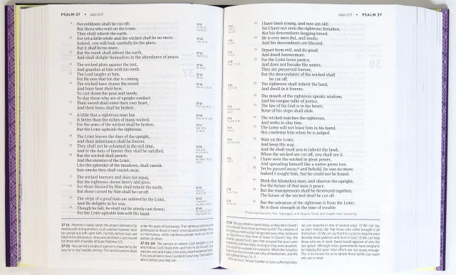 B NKJV LIFE APPLICATION STUDY BIBLE 3RD EDITION LARGE PRINT (RED LETTER EDITION)