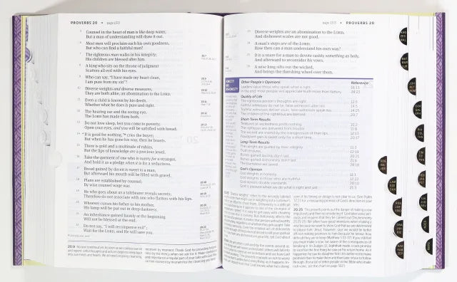 B NKJV LIFE APPLICATION STUDY BIBLE 3RD EDITION LARGE PRINT INDEXED (RED LETTER EDITION)