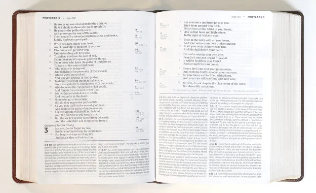 NKJV LIFE APPLICATION STUDY BIBLE 3RD EDITION LARGE PRINT BROWN/MAHOGANY (RED LETTER EDITION)