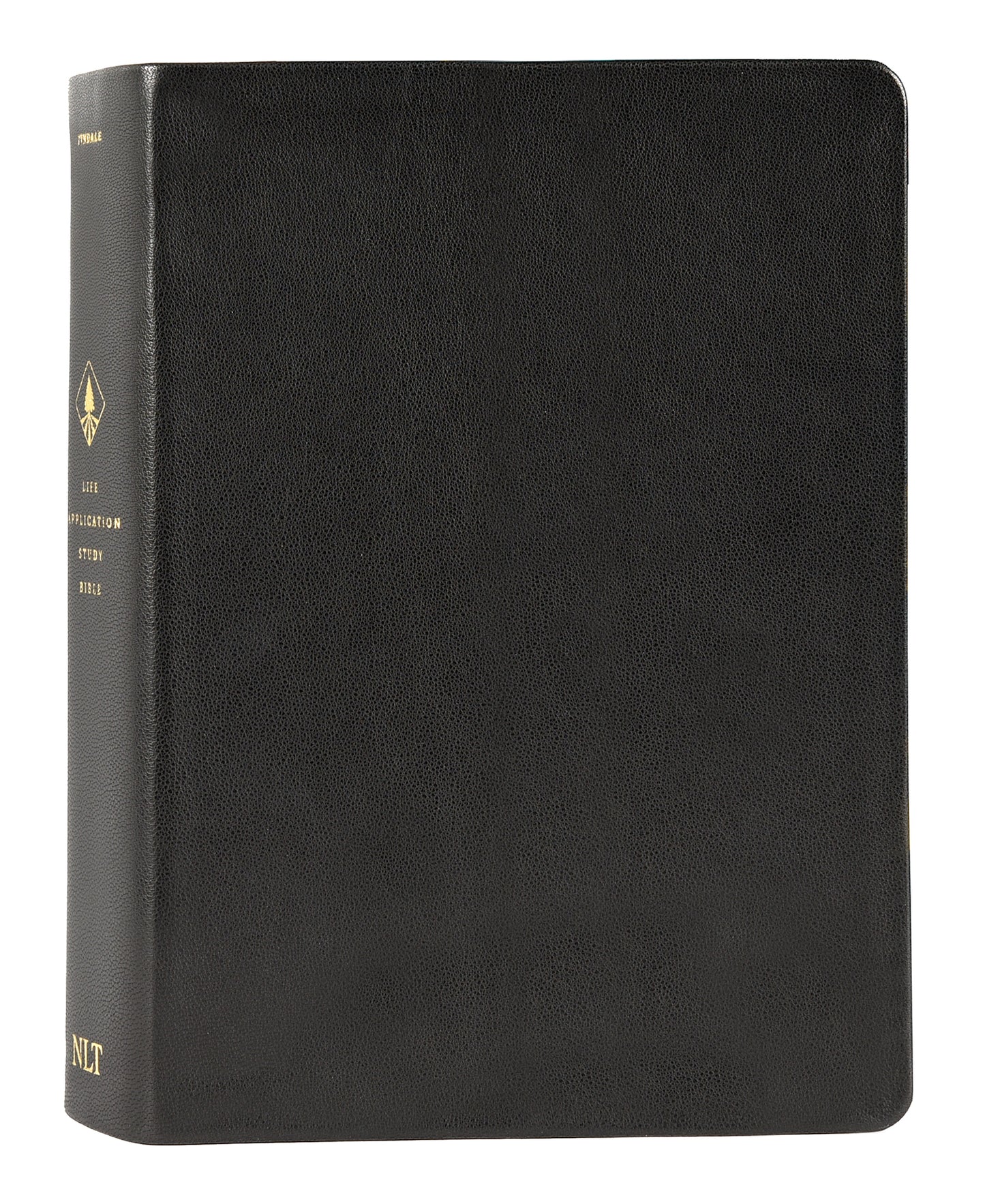 NLT LIFE APPLICATION STUDY BIBLE BLACK (RED LETTER EDITION) (3RD EDITION)