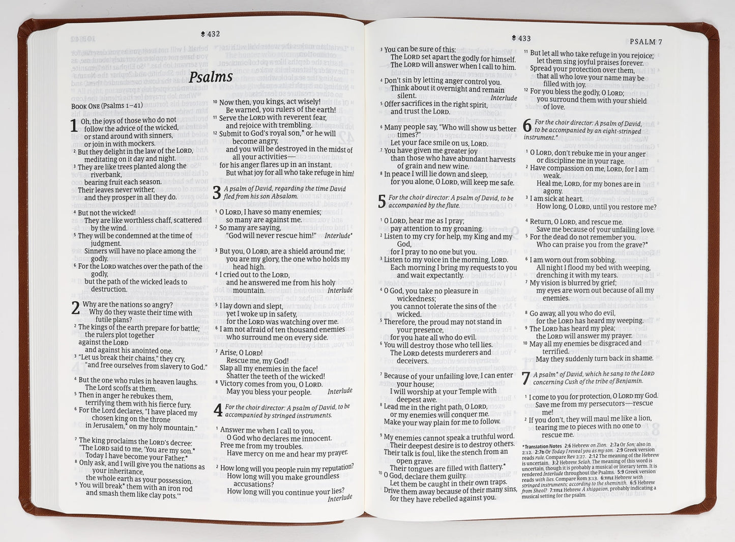 B NLT LARGE PRINT PREMIUM VALUE THINLINE BIBLE FILAMENT ENABLED EDITION BROWN CELTIC CROSS