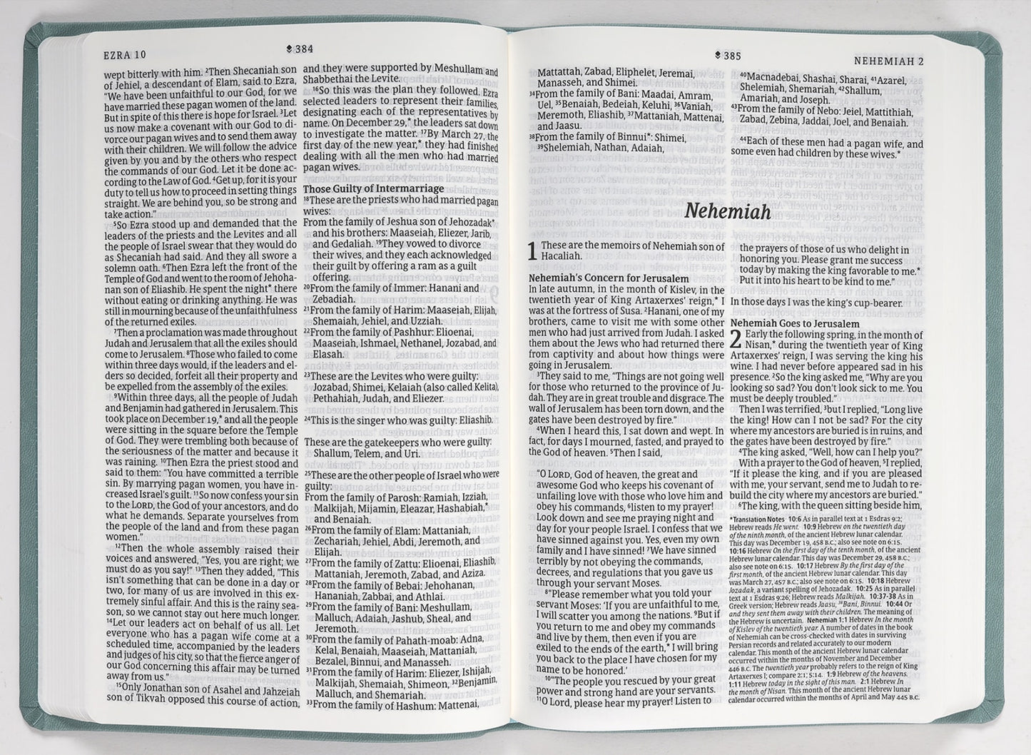 B NLT LARGE PRINT PREMIUM VALUE THINLINE BIBLE FILAMENT ENABLED EDITION EUCALYPTUS TEAL