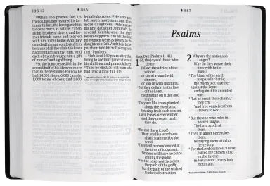 NLT SUPER GIANT PRINT BIBLE FILAMENT ENABLED EDITION PEONY RICH TEAL (RED LETTER EDITION)