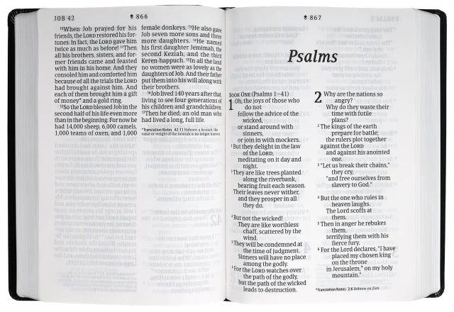 NLT SUPER GIANT PRINT BIBLE FILAMENT ENABLED EDITION BLACK (RED LETTER EDITION)