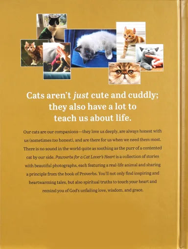PAWVERBS FOR A CAT LOVER'S HEART: INSPIRING STORIES OF FEISTINESS  FRIENDSHIP  AND FUN