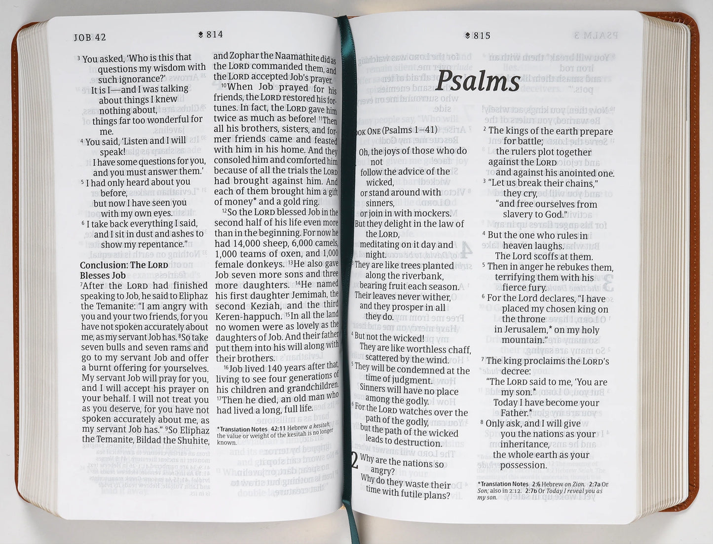 NLT PERSONAL SIZE GIANT PRINT BIBLE FILAMENT ENABLED EDITION CLASSIC TAN DAYSPRING SIGNATURE COLLECTION (RED LETTER EDITION) (DAYSPRING SIGNATURE COLLECTION)