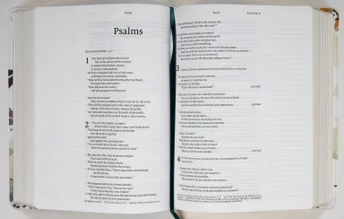 NLT WIDE MARGIN BIBLE FILAMENT ENABLED EDITION AUTUMN LEAVES DAYSPRING SIGNATURE COLLECTION (RED LETTER EDITION) (DAYSPRING SIGNATURE COLLECTION)