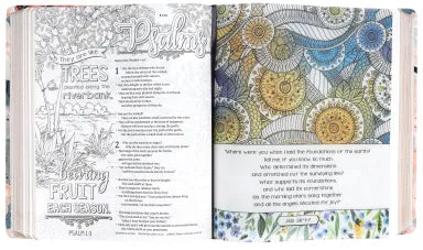 NLT INSPIRE FAITH BIBLE FILAMENT ENABLED EDITION WATERCOLOR GARDEN
