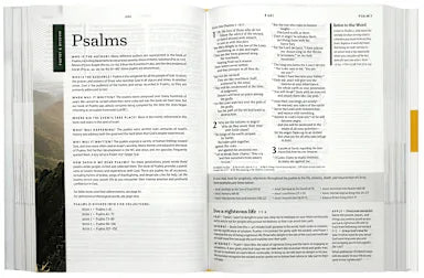 NLT COURAGE FOR LIFE STUDY BIBLE FOR MEN FILAMENT-ENABLED EDITION