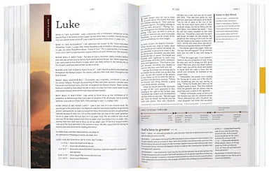 NLT COURAGE FOR LIFE STUDY BIBLE FOR MEN FILAMENT-ENABLED EDITION RUSTIC BROWN LION