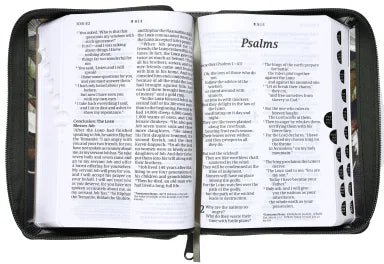 NLT COMPACT GIANT PRINT ZIPPER BIBLE FILAMENT-ENABLED EDITION MAGNOLIA SAGE GREEN INDEXED (RED LETTER EDITION)
