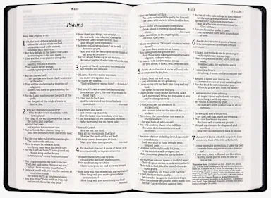 B NLT LARGE PRINT PREMIUM VALUE THINLINE BIBLE  FILAMENT-ENABLED EDITION  BLACK CROSS