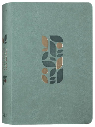 B NLT ONE YEAR CHRONOLOGICAL STUDY BIBLE  SAGE GREEN MOSAIC