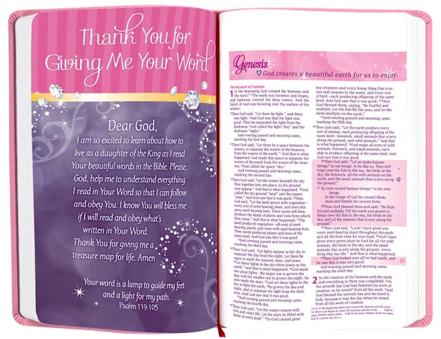 B NLT MY BEAUTIFUL PRINCESS BIBLE PINK SPARKLES