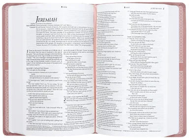 B NLT PREMIUM GIFT BIBLE FILAMENT ENABLED DUSTY PINK PETALS (RED LETTER EDITION)