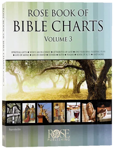 ROSE BOOK OF BIBLE CHARTS (VOL 3)