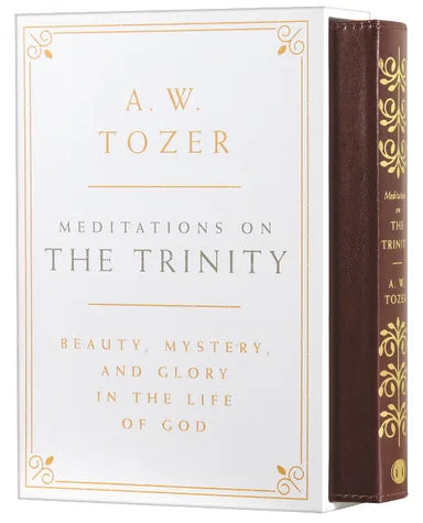 MEDITATIONS ON THE TRINITY: BEAUTY  MYSTERY  AND GLORY IN THE LIFE OF GOD