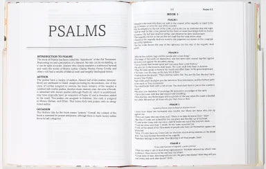 B SIMPLIFIED KJV BIBLE WILDFLOWER MEDLEY