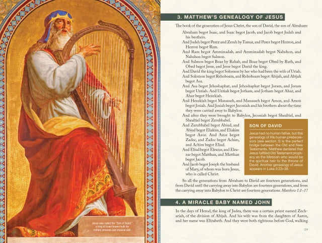 JESUS  A LIFE IN PICTURES: HIS COMPLETE STORY INTERWOVEN FROM THE BIBLICAL GOSPELS