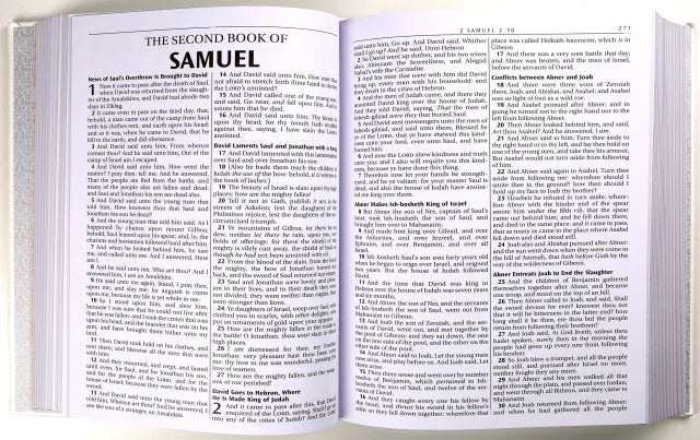 B KJV HOLY BIBLE CLASSICALLY ILLUSTRATED HEIRLOOM FAMILY BIBLE WHITE/SILVER